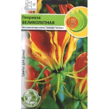 Семена для Сибири Глориоза Великолепная (НК)