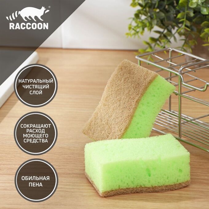 Набор губок для мытья посуды Raccoon «ЭКО-стиль», 2 шт, 10,8?7?4 см, крупнопористый поролон + экосизаль, цвет зелёный