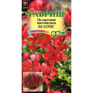 Семена для Сибири Пеларгония Беатрис ампельная (Гавр)