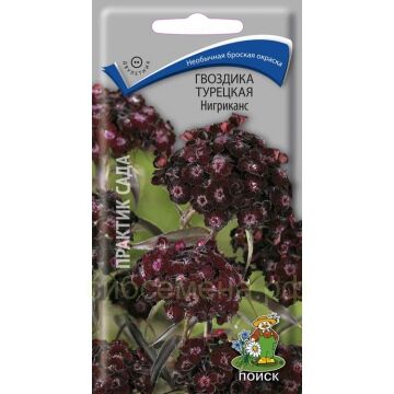 Семена для Сибири Гвоздика турецкая Нигриканс (П)