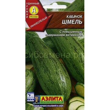 Кабачок цукини Шмель (Аэлита)