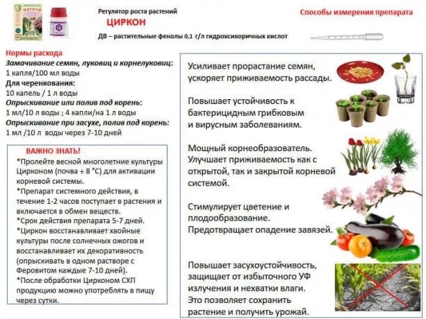 Циркон для овощных культур