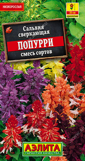 Агрофирма АЭЛИТА Сальвия Попурри, смесь сортов