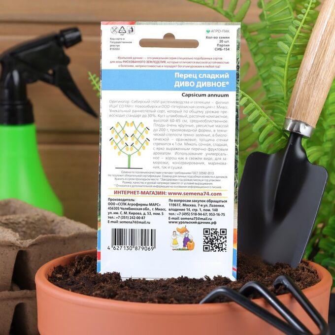 Перец диво дивное уральский дачник. Перец диво дивное сладкий уд. Перец диво дивное уральский дачник. Перец диво дивное. Перец сладкий диво дивное.