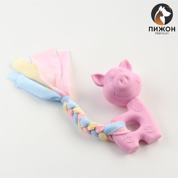 Игрушка жевательная Пижон Premium &quot;Свинка&quot;, 10 х 6 х 3,5 см, розовая