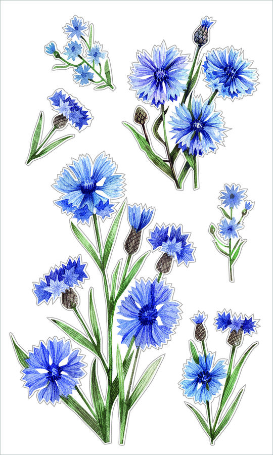 DIVINO Decor Декоративные виниловые наклейки ST-0484 Васильки 30х50