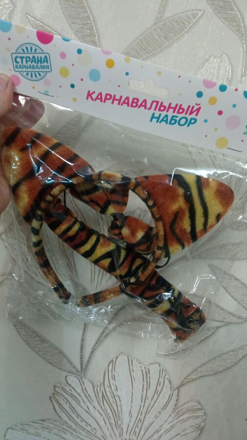 Набор тигра во Владивостоке