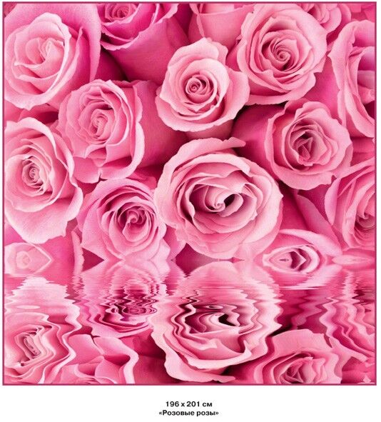 VOSTORG Фотообои Розовые розы   Розовые розы 196*201