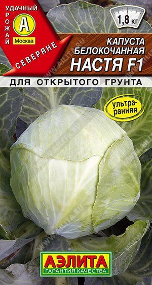 Аэлита Капуста б/к Настя (Код: 90068)
