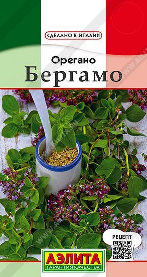 Аэлита Орегано Бергамо (Код: 90009)