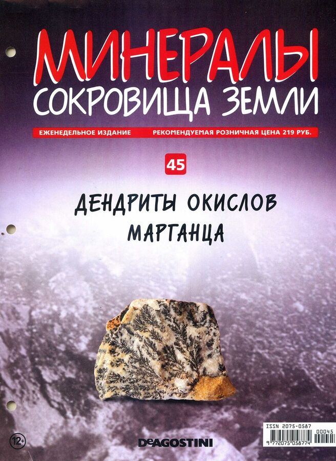Книжный аутлет Журнал № 045 Минералы. Сокровища земли (Дендриты окислов марганца )