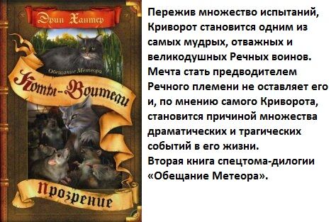 Коты воители книга обещание метеора. Книга коты воители обещание метеора эрин хантер. Коты воители книга обещание метеора западня. Коты воители книга обещание метеора. Коты воители обещание метеора.