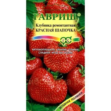 Семена для Сибири Клубника Красная шапочка (Гавр)