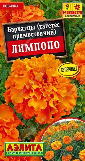 Аэлита Бархатцы Лимпопо (Код: 90097)