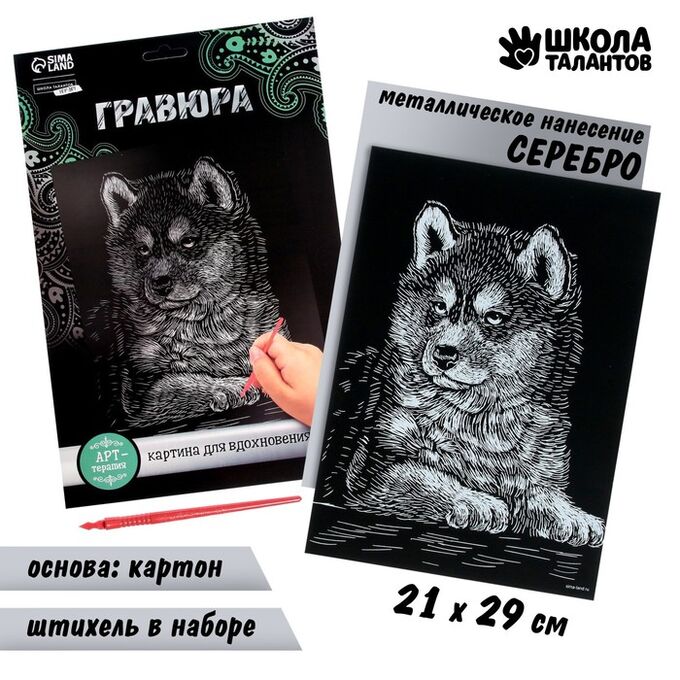 Школа талантов Гравюра «Щенок хаски» с металлическим эффектом «серебро» А4