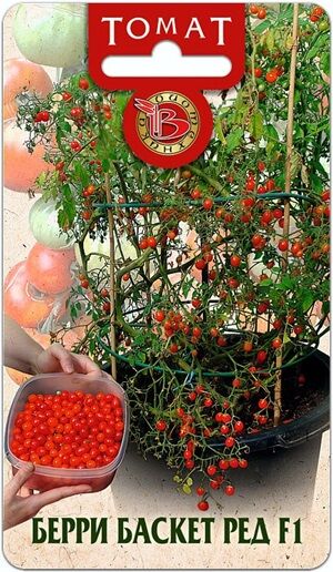 Томат Берри Баскет F1 Ред 10 шт.Оригинальный томат необычного вида. его можно использовать как оригинальное декоративное растение