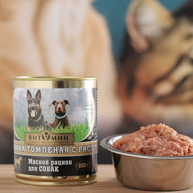 Витамин конина. Консервы для собак конина. конина для собак. бест динер гастро конина собаки. 20 грамм корма.