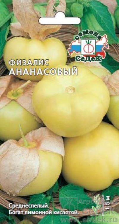 Огород круглый год Физалис Ананасовый /СеДеК/0,1гр