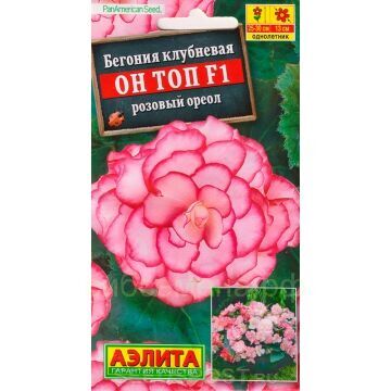 Семена для Сибири Бегония Он Топ F1 розовый ореол (Аэлита)