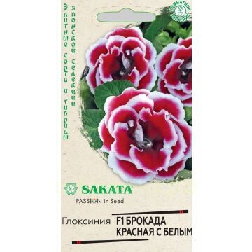 Семена для Сибири Глоксиния Брокада красная с белым F1 (Гавр)