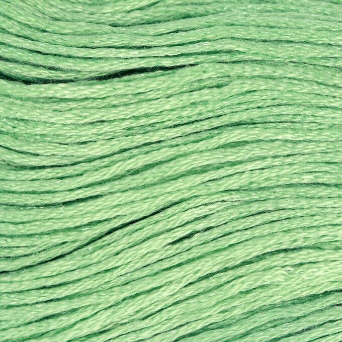 Арт Узор Нитки мулине, 8 ± 1 м, цвет светло-зелёный №563