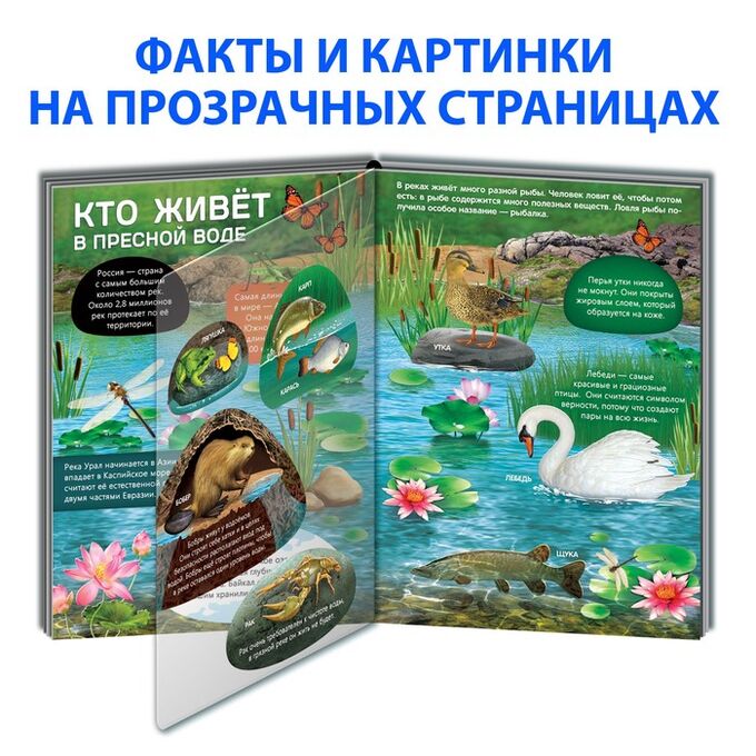 БУКВА-ЛЕНД / Книга с прозрачными страницами «Жизнь на земле. Животные и где  они обитают». Детская литература
