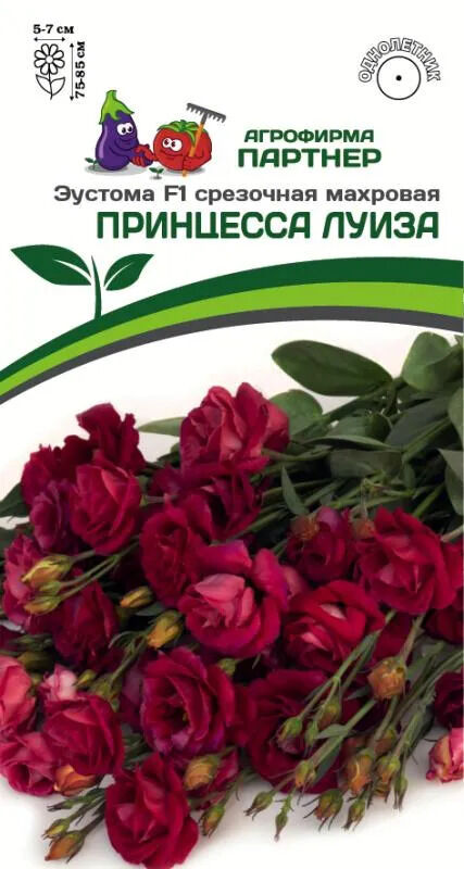 Цикламен Луиза