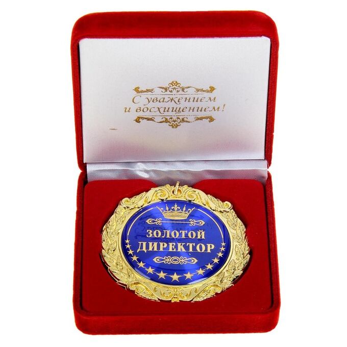 СИМА-ЛЕНД Медаль в бархатной коробке «Золотой директор», d=7 см