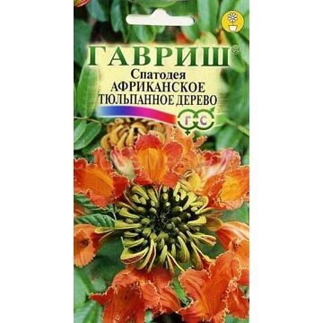 Семена для Сибири Спатодея Африканское тюльпанное дерево (Гавр)
