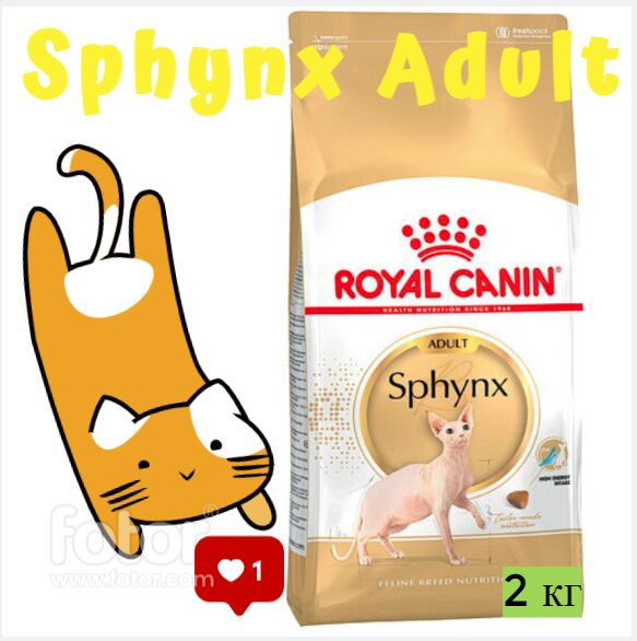 Royal Canin ПОЛНОРАЦИОННЫЙ КОРМ ДЛЯ СФИНКСОВ 2 кг