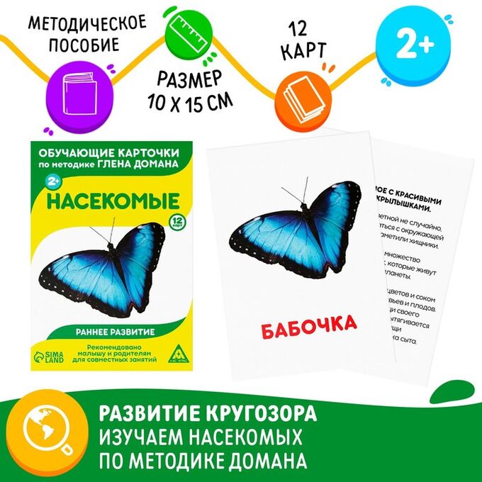 ЛАС ИГРАС Обучающие карточки по методике Г. Домана «Насекомые», 12 карт, А6