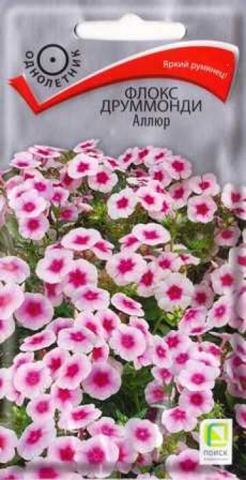 Поиск Флокс Аллюр (Код: 86363)