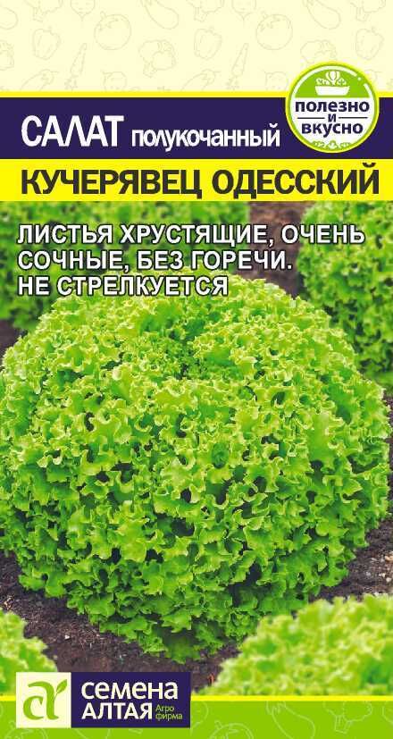 Семена Алтая Зелень Салат Кучерявец Одесский/Сем Алт/цп 0,5 гр.