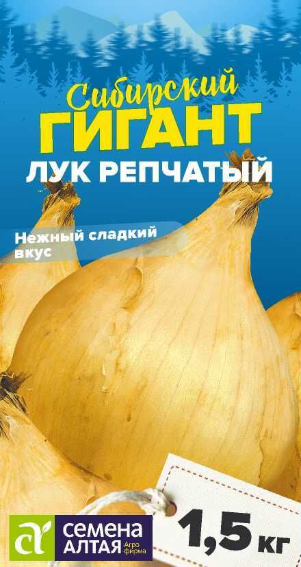 Семена Алтая Лук Сибирский Гигант 0,2 гр. СЕРИЯ СИБИРСКИЕ ГИГАНТЫ!