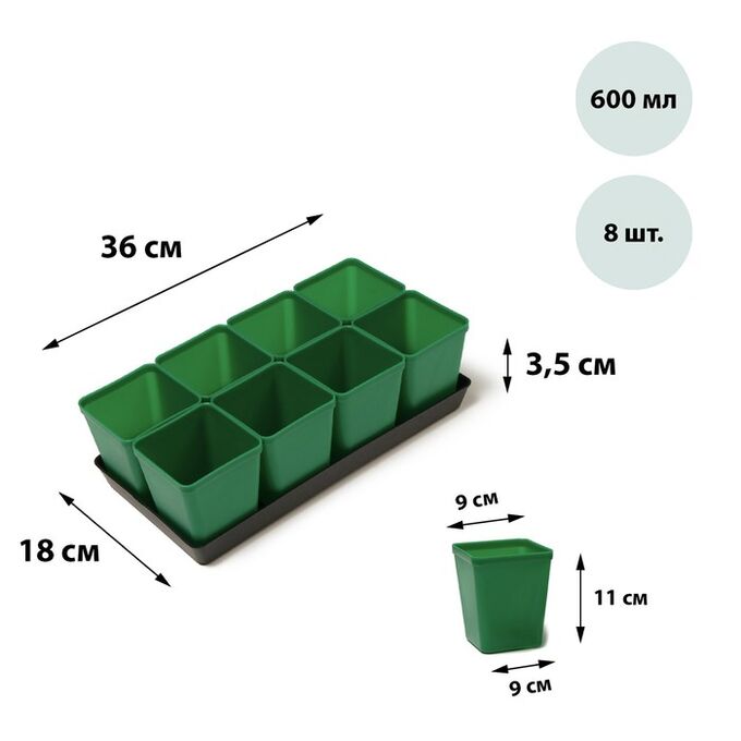 Набор для рассады: стаканы по 600 мл (8 шт.), поддон 36 x 18 см, цвет МИКС, Greengo