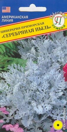 Престиж семена / Цинерария "Серебряная пыль" | Цветы. Семена однолетние